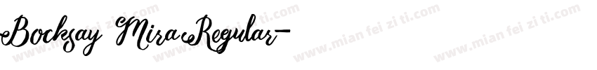 Bocksay Mira Regular字体转换
